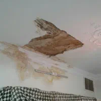گچ کاری لکه گیری دیوارگچی گچکارخورده کاری کل مشهد