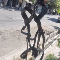 کله گیر چرم  اسب