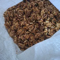 کارگر ساده برای کار در کارگاه خشکبار