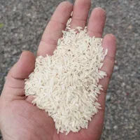 برنج دودی هاشمی درجه یک