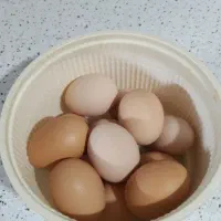 تخم مرغ محلی نطفه دار