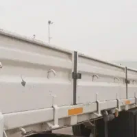 نیم لبه ماموتی سفید