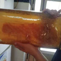 عسل صدرصد طبیعی مغان