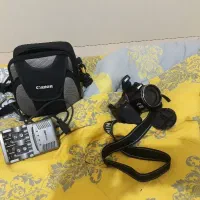 همه موارد خانگی بدلیل مهاجرت وکمبود وجه وثیقه