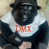 مناسب ویترین مغازه یا برای دیزاین اطاق کودک