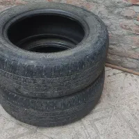 لاستیک ۱۴