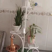 جاگلدانی وجادکوری