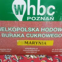 فروش بذر چغندر