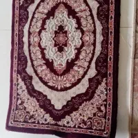 پادری ۵۰۰ شانه