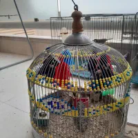 سهره خاکی معاوضه