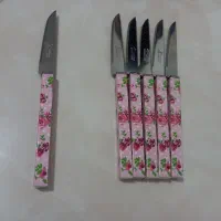 چاقو میوه خوری