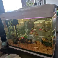 اکواریم شیشه خم دلسا k580