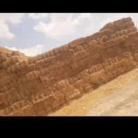 ارسال به سراسر کشور