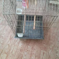 قفس بزرگ