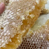 عسل طبیعی