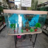 اکواریم شیشه خم شیک