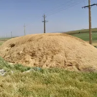 کاه فروش