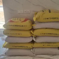 گندم بوجاری شده  سیروان