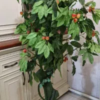 درختچه مصنوعی آلبالو