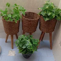 گل وگلدان حصیری