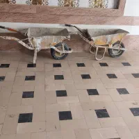 فرقون