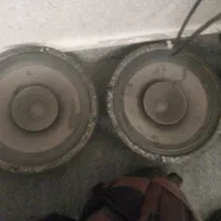 دو جفت میدرنج