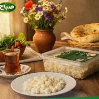جذب ویزیتور حضوری شرکت صباح