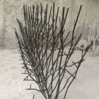 حفاظ شاخ گوزنی