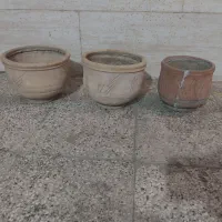 گلدان|گل و گیاه طبیعی|تهران, جوادیه|دیوار