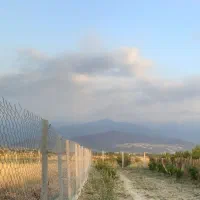 باغچه