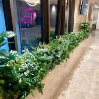 زیبایی متمایز و تنوع طرح و رنگ، چیدمان بوته برگ