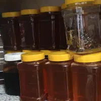 عسل بدون شکر