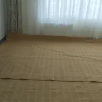 موکت|موکت|بانه, |دیوار