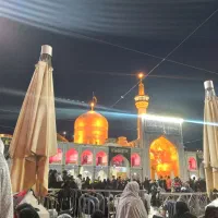 دو عدد فیش تمتع سری اول