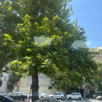بر شریعتی محدوده ظفر ۸۵ متر تجاری سرقفلی