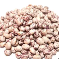 لوبیا چیتی