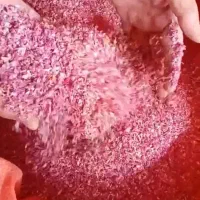 پر گل محمدی غنچه داراب امسالی پارسالی شوید نعناع
