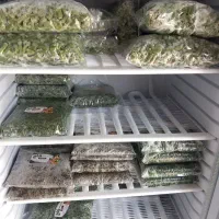 فروشنده خانم برای سبزی آماده