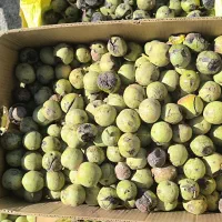 گردو بادام تویسرکان