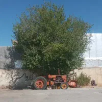 اجاره زمین کشاورزی
