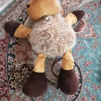 عروسک