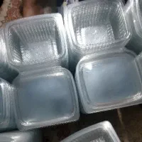 تعداد ظرف یکبارمصرف دلی200cc