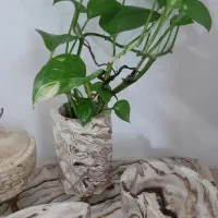 سینی همراه باگلدان گل