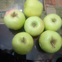 سیب درختی درجه یک