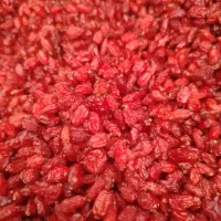 زرشک پفکی لوکس