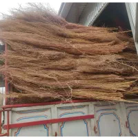 فروش جاروشهرداری