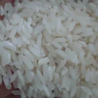 برنج هاشمی ممتاز معطر عمده و خرده