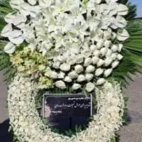 تاج گل|گل و گیاه طبیعی|شهرکرد, |دیوار