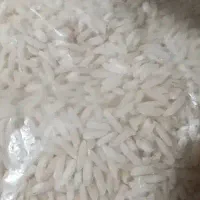برنج طارم