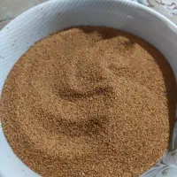 خاکشیر